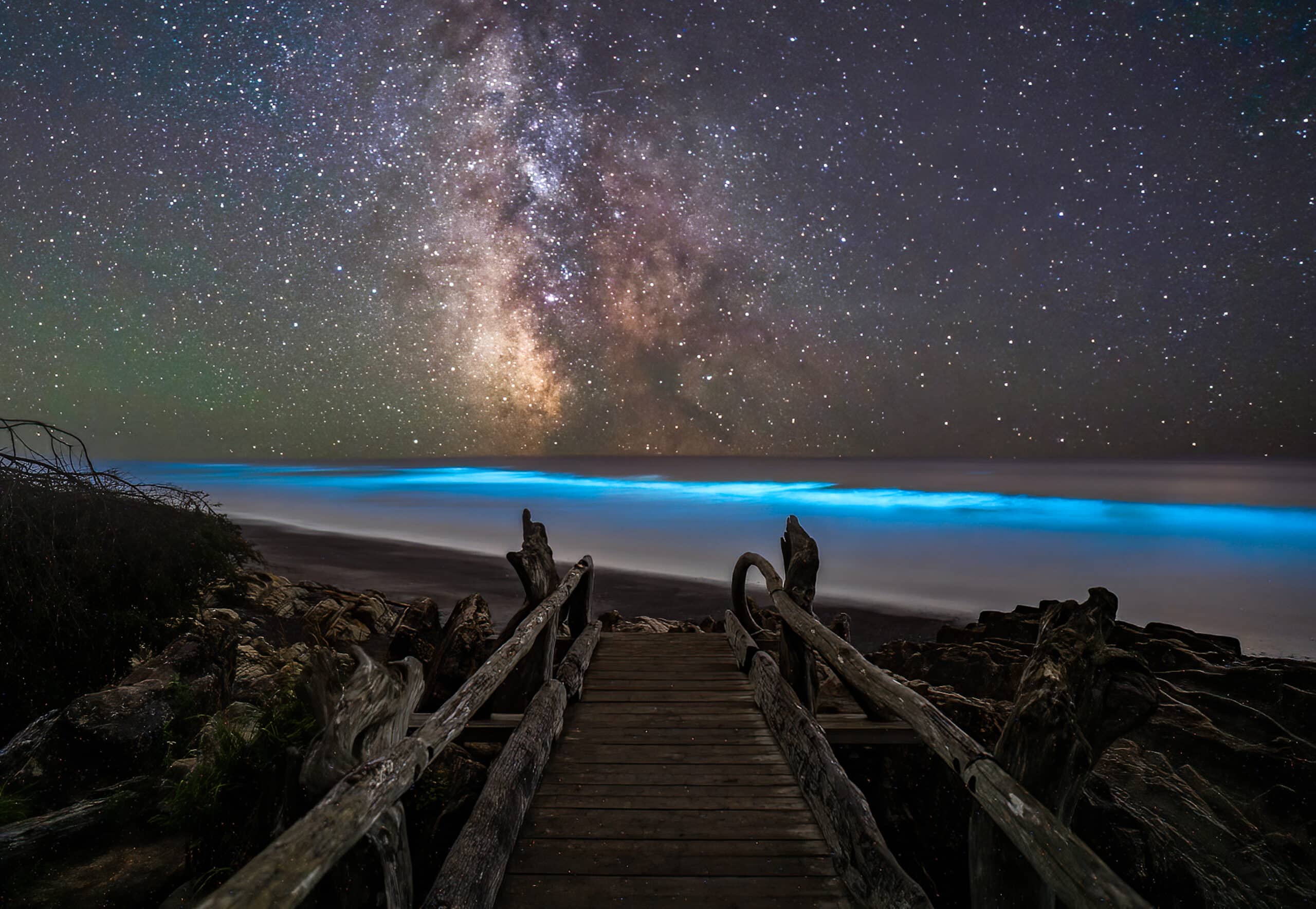 Bioluminescence in Washington Mathew Nichols Photography
